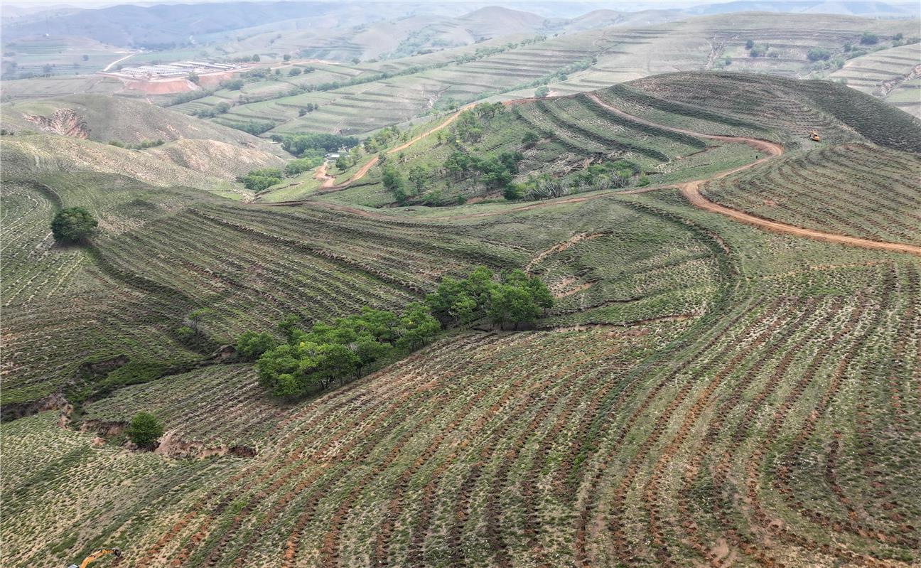 烏蘭察布“三北”防護(hù)林建設(shè)工程全線鋪開(kāi)