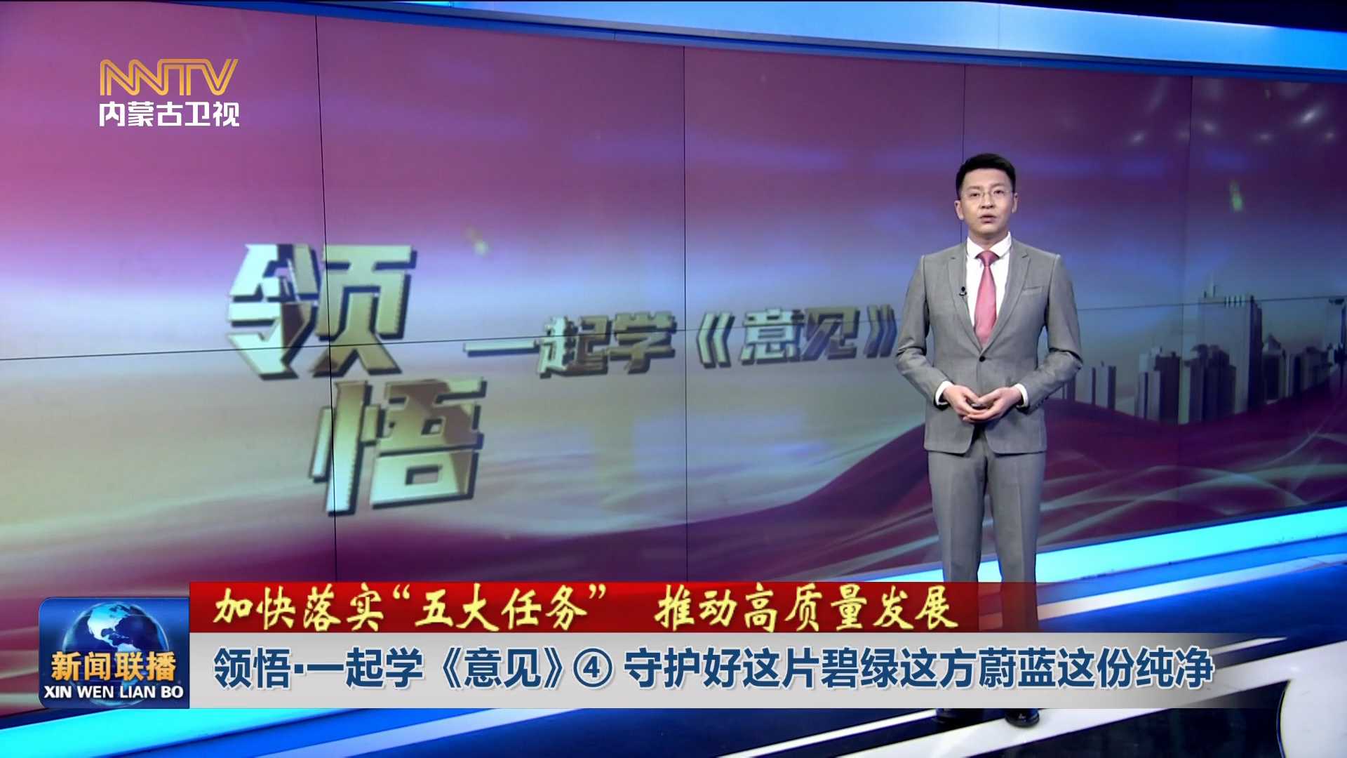 加快落實“五大任務(wù)” 推動高質(zhì)量發(fā)展丨 領(lǐng)悟·一起學(xué)《意見》④守護好這片碧綠這方蔚藍這份純凈