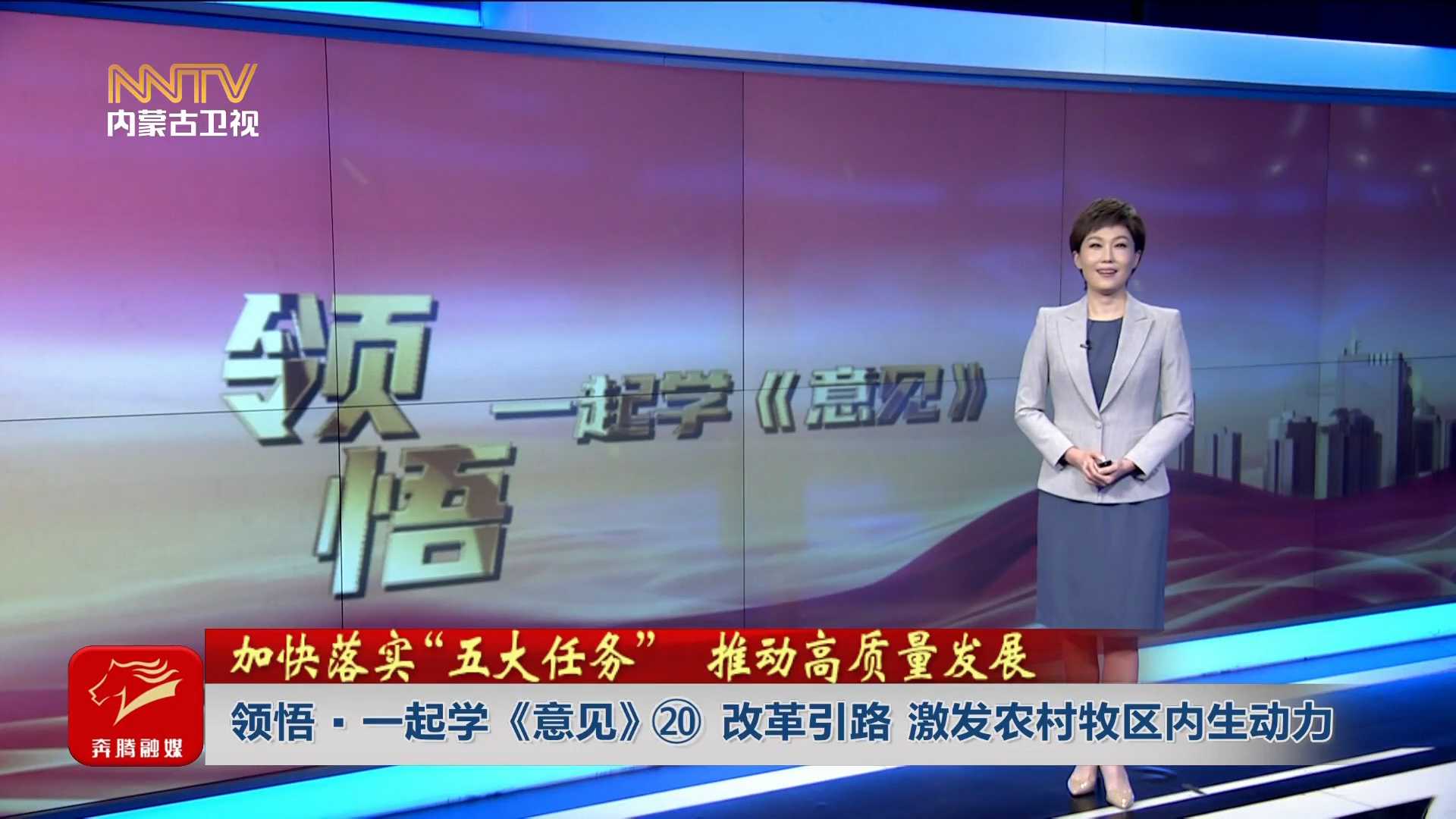 加快落實“五大任務(wù)” 推動高質(zhì)量發(fā)展丨領(lǐng)悟·一起學(xué)《意見》? 改革引路 激發(fā)農(nóng)村牧區(qū)內(nèi)生動力