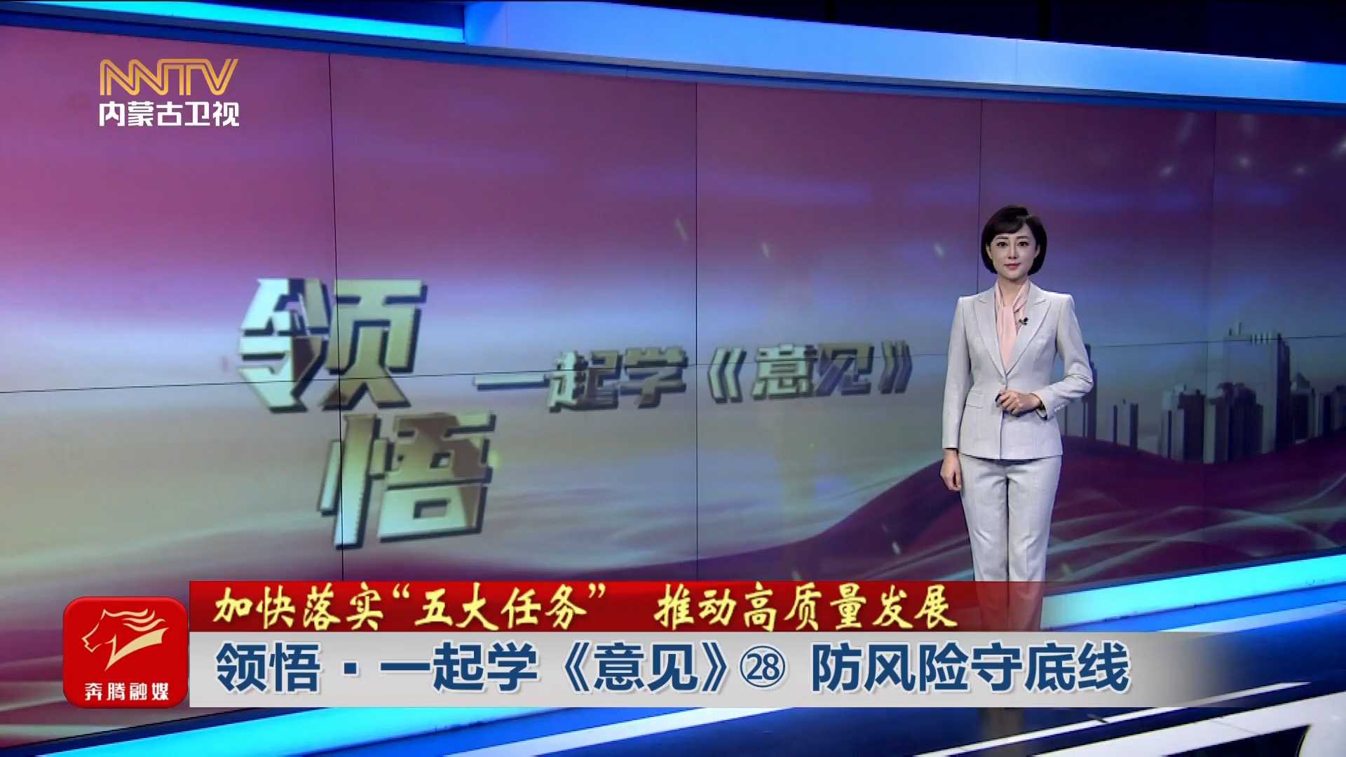 加快落實“五大任務(wù)” 推動高質(zhì)量發(fā)展丨 領(lǐng)悟·一起學(xué)《意見》? 防風險守底線