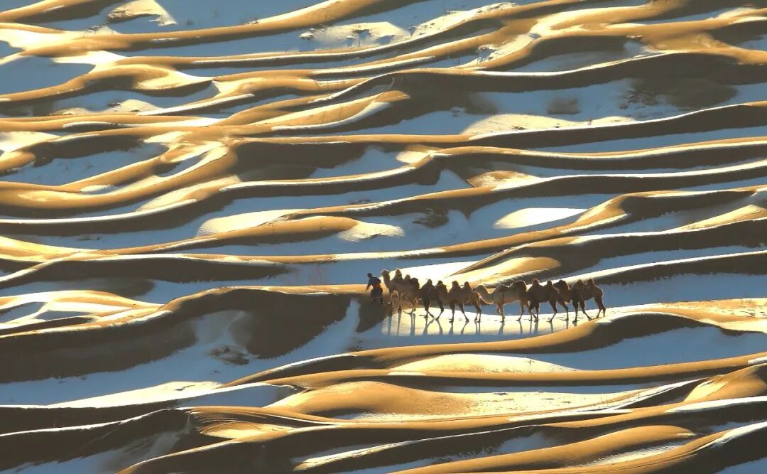【4A】烏海市金沙灣生態(tài)旅游景區(qū)